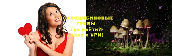 таблы Алзамай