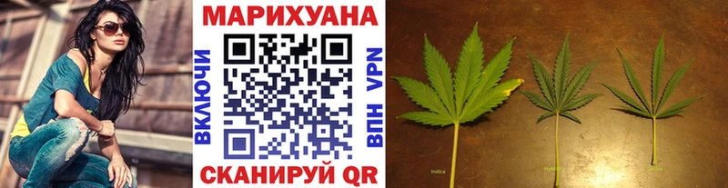 где купить наркоту  Родники  kraken как войти  Бошки Шишки Ganja 