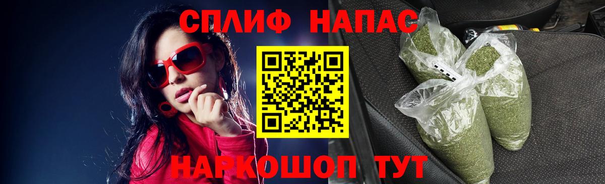 Канабис планчик Родники